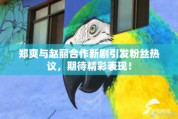 郑爽与赵丽合作新剧引发粉丝热议，期待精彩表现！