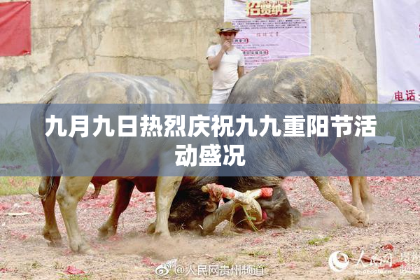 九月九日热烈庆祝九九重阳节活动盛况