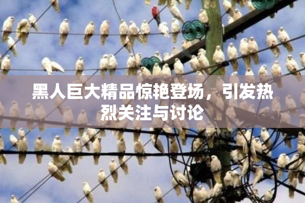 黑人巨大精品惊艳登场，引发热烈关注与讨论