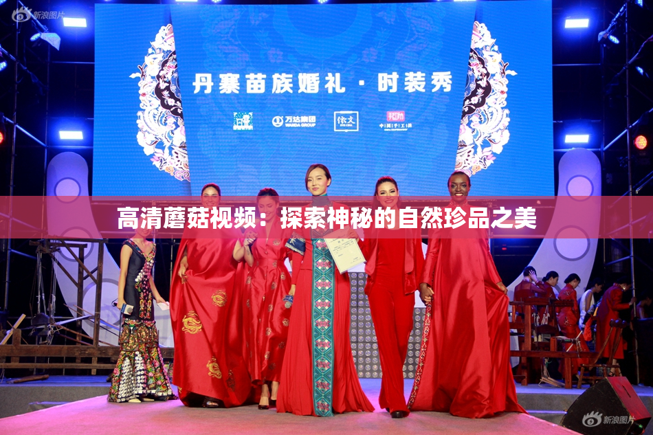 高清蘑菇视频：探索神秘的自然珍品之美