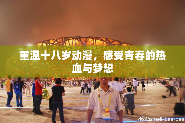 重温十八岁动漫，感受青春的热血与梦想