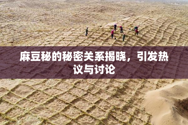 麻豆秘的秘密关系揭晓，引发热议与讨论