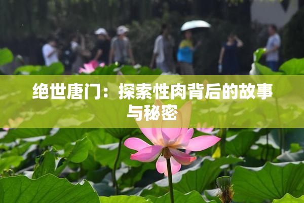 绝世唐门：探索性肉背后的故事与秘密