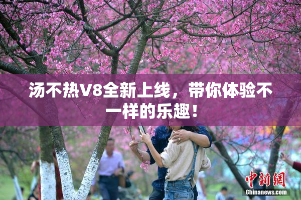 汤不热V8全新上线，带你体验不一样的乐趣！