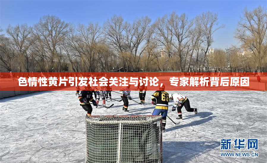 色情性黄片引发社会关注与讨论，专家解析背后原因