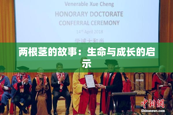两根茎的故事：生命与成长的启示
