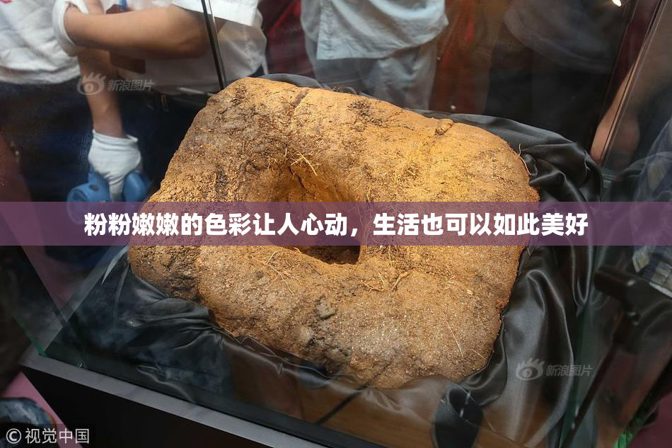 粉粉嫩嫩的色彩让人心动，生活也可以如此美好