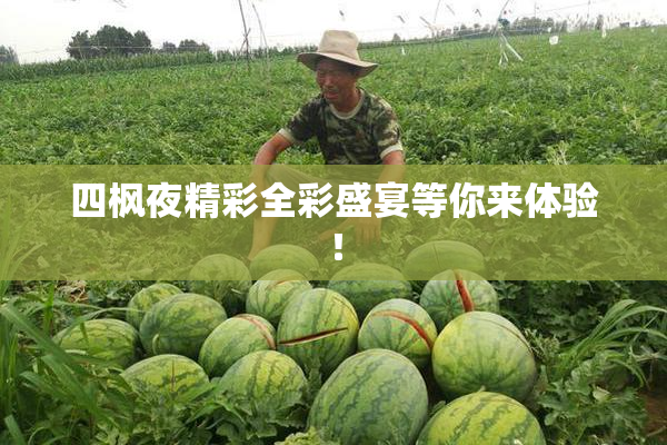 四枫夜精彩全彩盛宴等你来体验！
