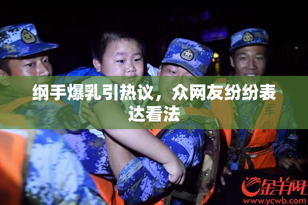 纲手爆乳引热议，众网友纷纷表达看法