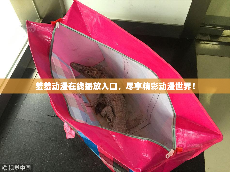 羞羞动漫在线播放入口，尽享精彩动漫世界！