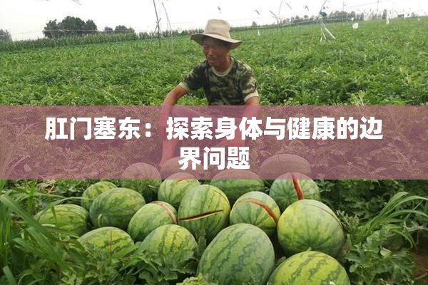 肛门塞东：探索身体与健康的边界问题