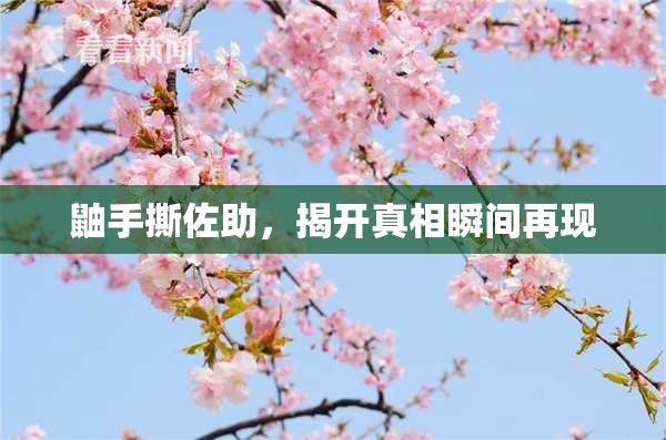 鼬手撕佐助，揭开真相瞬间再现