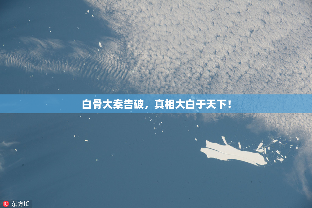 白骨大案告破，真相大白于天下！