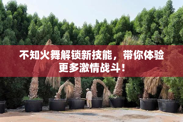 不知火舞解锁新技能，带你体验更多激情战斗！