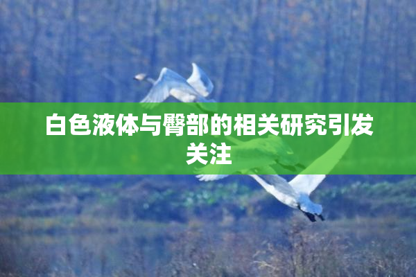 白色液体与臀部的相关研究引发关注