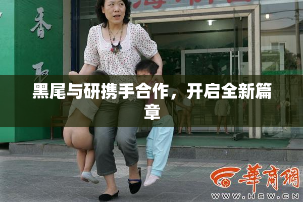 黑尾与研携手合作，开启全新篇章