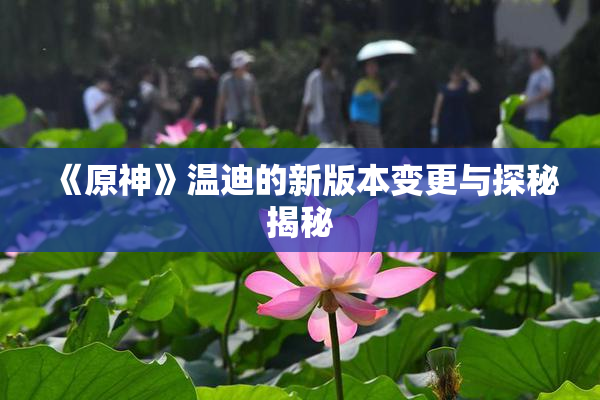《原神》温迪的新版本变更与探秘揭秘