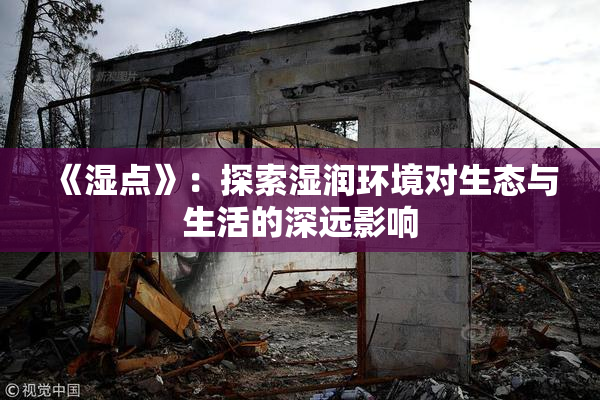 《湿点》：探索湿润环境对生态与生活的深远影响