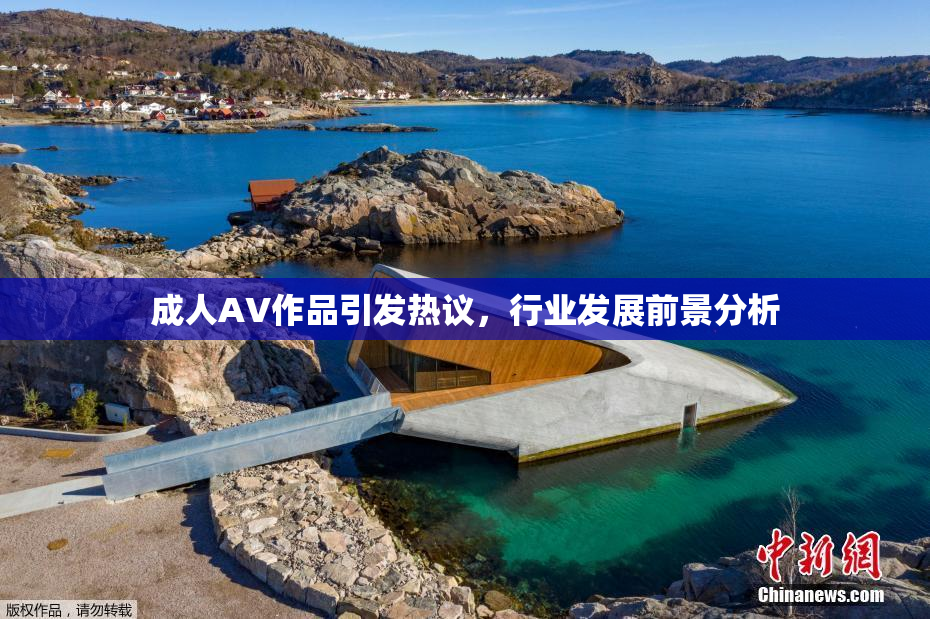 成人AV作品引发热议，行业发展前景分析