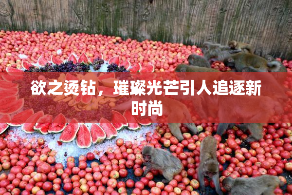 欲之烫钻，璀璨光芒引人追逐新时尚