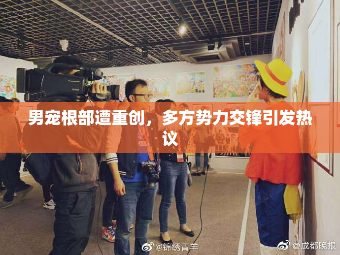 男宠根部遭重创，多方势力交锋引发热议