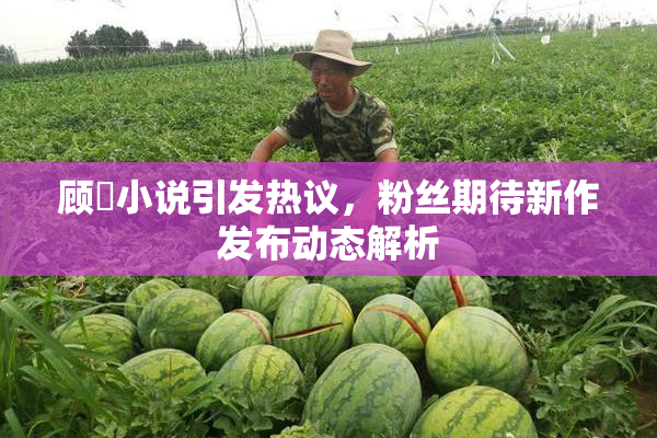 顾嫚小说引发热议，粉丝期待新作发布动态解析