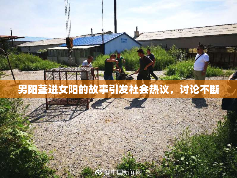 男阳茎进女阳的故事引发社会热议，讨论不断