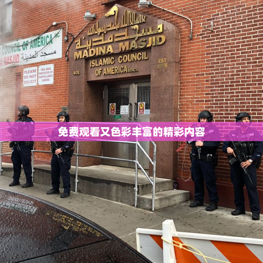 免费观看又色彩丰富的精彩内容
