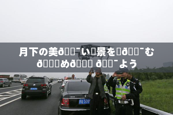 月下の美🔯い風景を楽🔯む👅め🎆 🔯よう