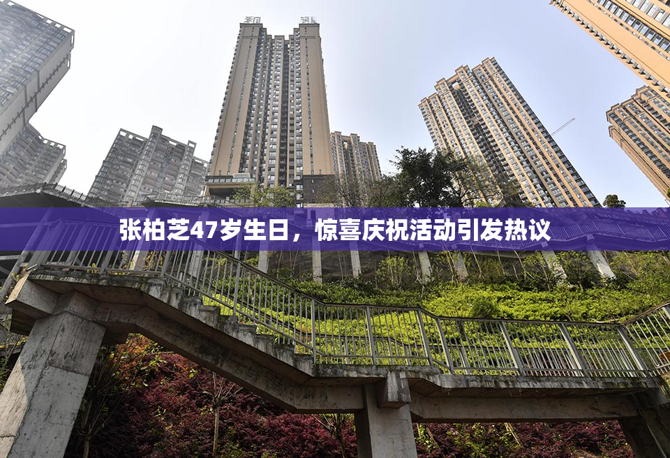 张柏芝47岁生日，惊喜庆祝活动引发热议