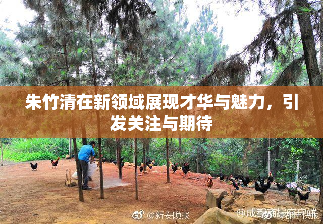 朱竹清在新领域展现才华与魅力，引发关注与期待