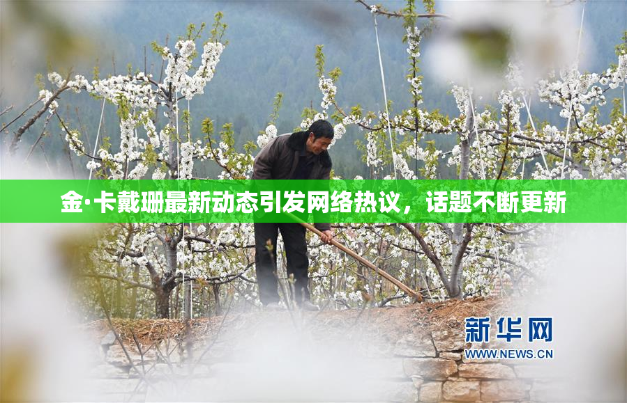 金·卡戴珊最新动态引发网络热议，话题不断更新