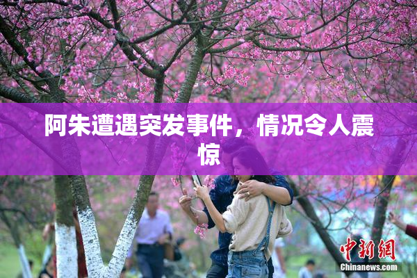 阿朱遭遇突发事件，情况令人震惊