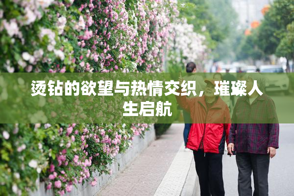 烫钻的欲望与热情交织，璀璨人生启航