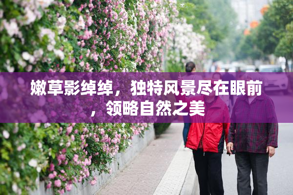 嫩草影绰绰，独特风景尽在眼前，领略自然之美