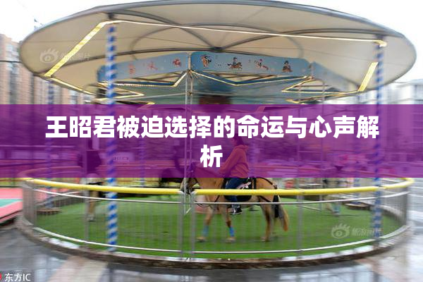 王昭君被迫选择的命运与心声解析