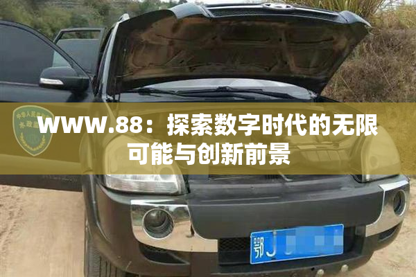 WWW.88：探索数字时代的无限可能与创新前景