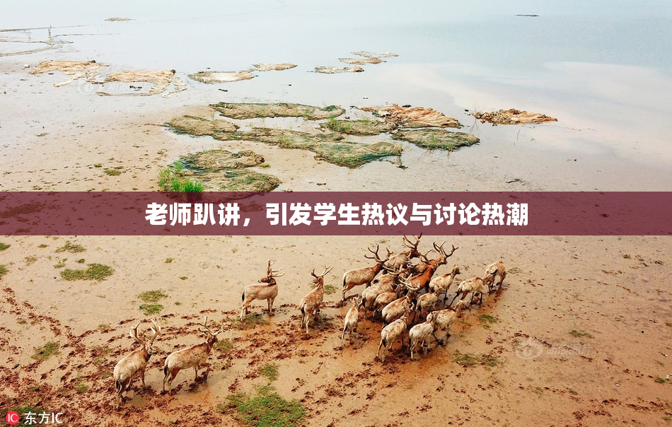 老师趴讲，引发学生热议与讨论热潮