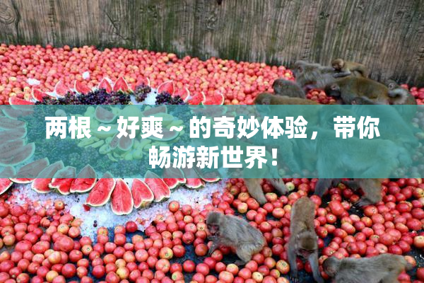 两根～好爽～的奇妙体验，带你畅游新世界！