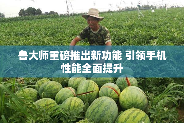 鲁大师重磅推出新功能 引领手机性能全面提升