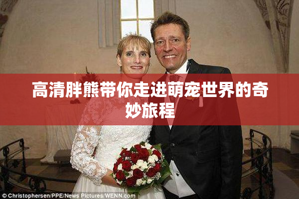 高清胖熊带你走进萌宠世界的奇妙旅程