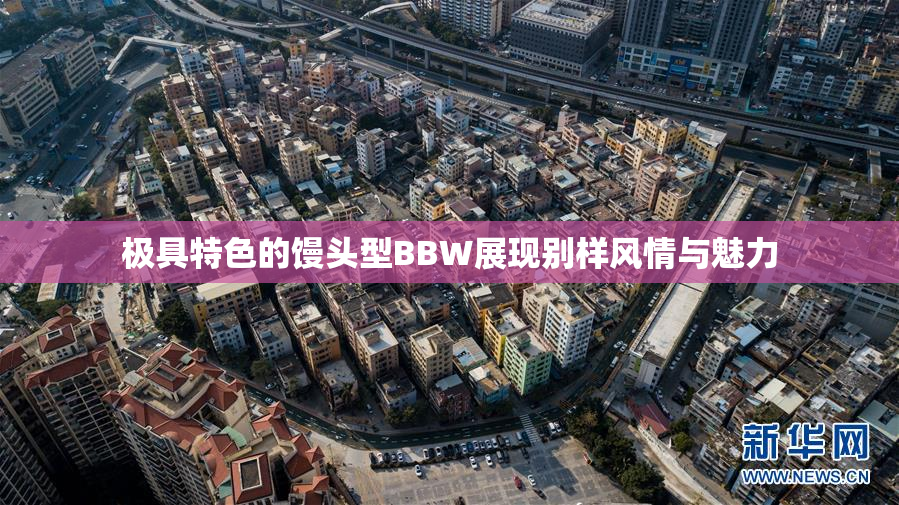 极具特色的馒头型BBW展现别样风情与魅力