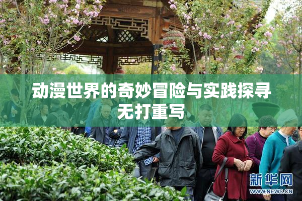 动漫世界的奇妙冒险与实践探寻无打重写