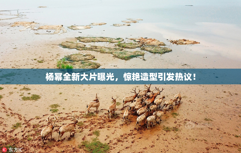 杨幂全新大片曝光，惊艳造型引发热议！