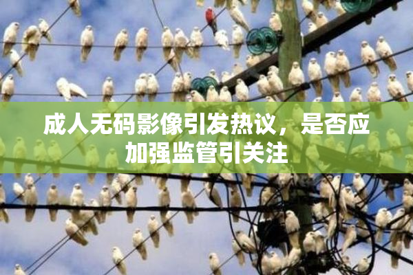 成人无码影像引发热议，是否应加强监管引关注