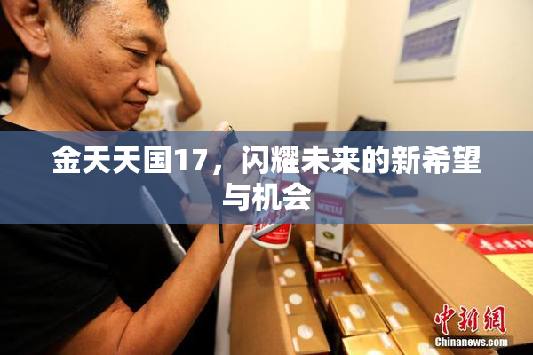 金天天国17，闪耀未来的新希望与机会