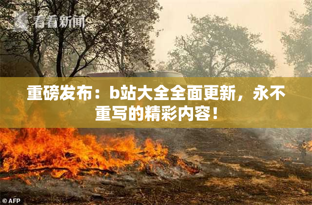 重磅发布：b站大全全面更新，永不重写的精彩内容！