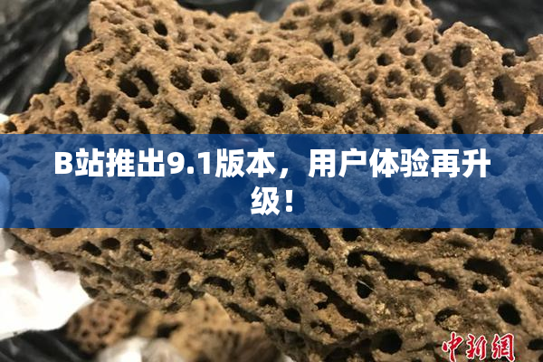 B站推出9.1版本，用户体验再升级！