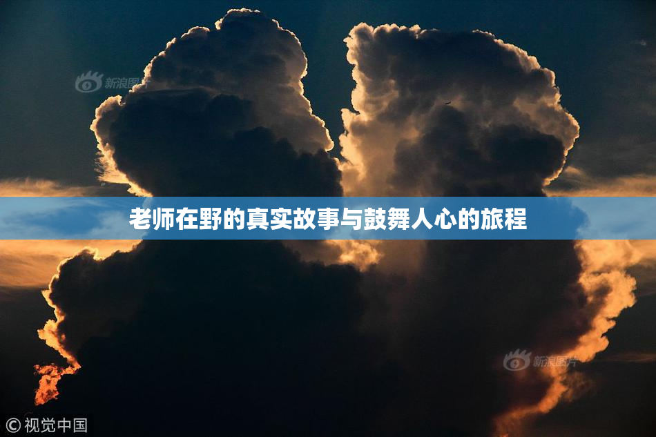 老师在野的真实故事与鼓舞人心的旅程
