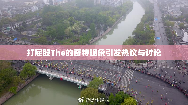 打屁股The的奇特现象引发热议与讨论